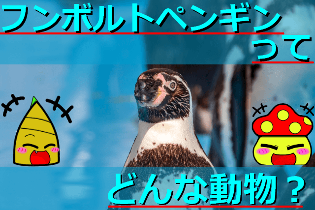 Thumbnail of post image 129